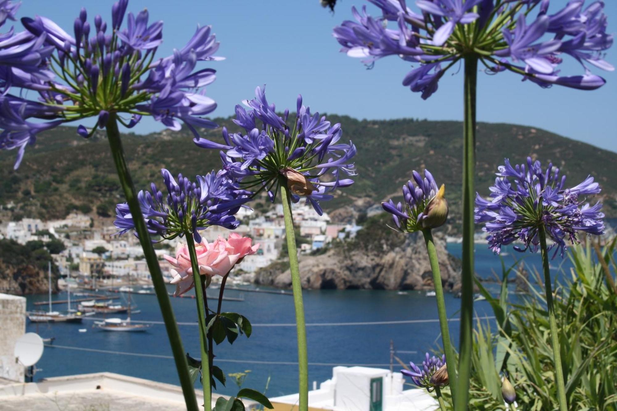 Villa Ersilia Ponza Eksteriør billede