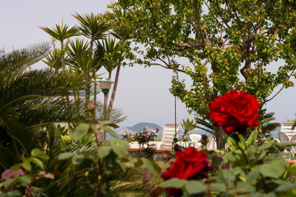 Villa Ersilia Ponza Eksteriør billede