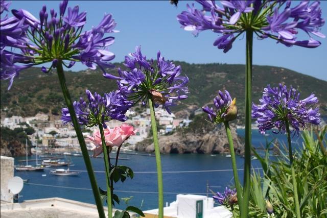 Villa Ersilia Ponza Eksteriør billede